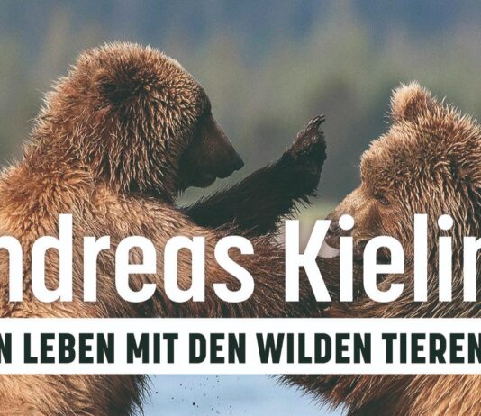 30 Jahre Wildnis: Andreas Kieling teilt sein Lebenswerk im Kölner Tanzbrunnen