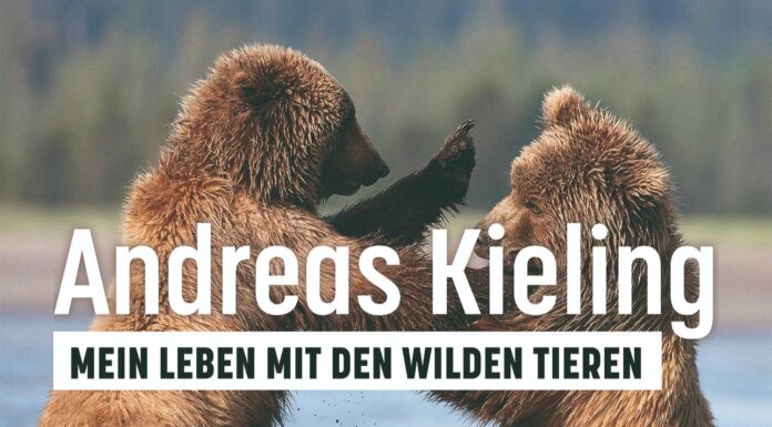30 Jahre Wildnis: Andreas Kieling teilt sein Lebenswerk im Kölner Tanzbrunnen